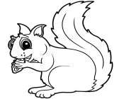 Cartoon Squirrel 1