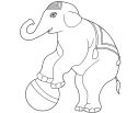 Circus Elephant Moves