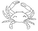 Crab