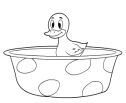 Duck 1