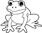 Frog 1