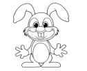 Funny Rabbit