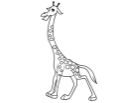 Giraffe 1