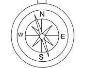 Pirates Compass