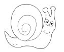 Snail