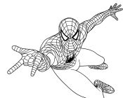 Spiderman Attacking